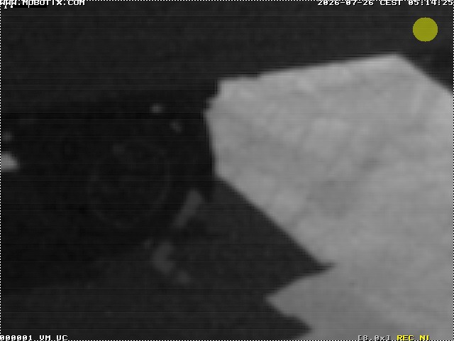 Camera Live Image