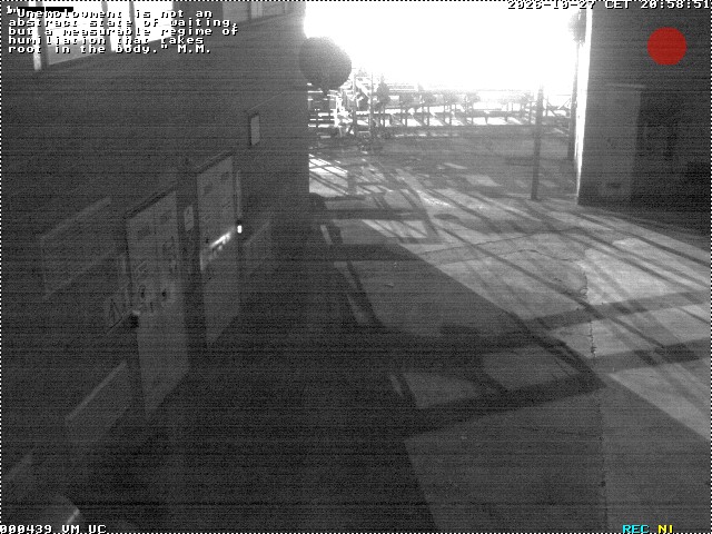 Camera Live Image